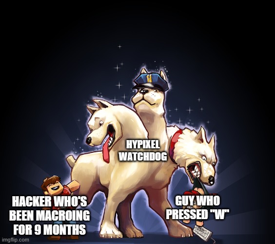 Hypixel Watchdog | HYPIXEL WATCHDOG; HACKER WHO'S BEEN MACROING FOR 9 MONTHS; GUY WHO PRESSED "W" | image tagged in hypixel,minecraft,watchdog,hypixel watchdog,memes,funny | made w/ Imgflip meme maker