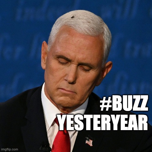 Buzz Yesteryear | #BUZZ
YESTERYEAR | image tagged in pence,mike pence,fly,buzz | made w/ Imgflip meme maker