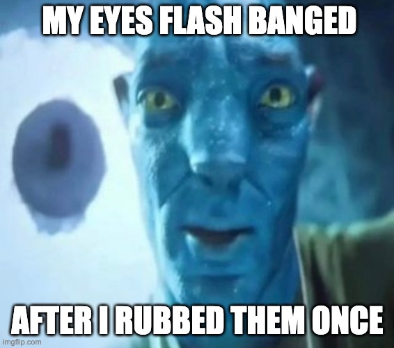Avatar guy | MY EYES FLASH BANGED; AFTER I RUBBED THEM ONCE | image tagged in avatar guy | made w/ Imgflip meme maker