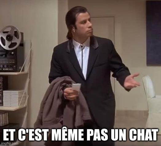 John Travolta pulp fiction | ET C'EST MÊME PAS UN CHAT | image tagged in john travolta pulp fiction | made w/ Imgflip meme maker