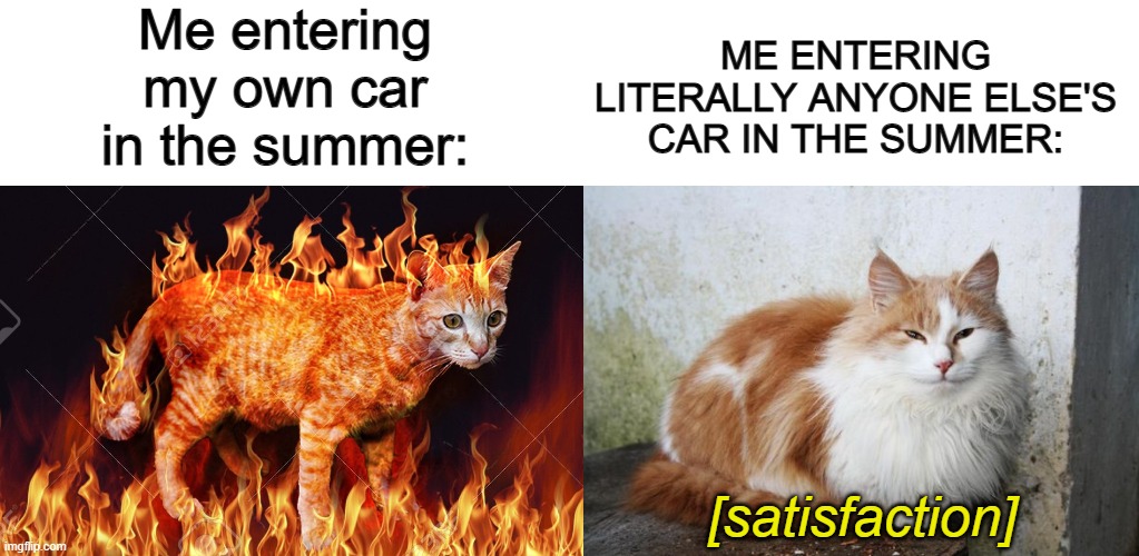 Accurate ^-^ | Me entering my own car in the summer:; ME ENTERING LITERALLY ANYONE ELSE'S CAR IN THE SUMMER:; [satisfaction] | image tagged in flame cat,satisfied cat | made w/ Imgflip meme maker