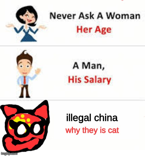 Never ask a woman her age | illegal china; why they is cat | image tagged in never ask a woman her age | made w/ Imgflip meme maker