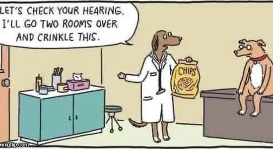 Hear that | image tagged in comics/cartoons,dogs | made w/ Imgflip meme maker