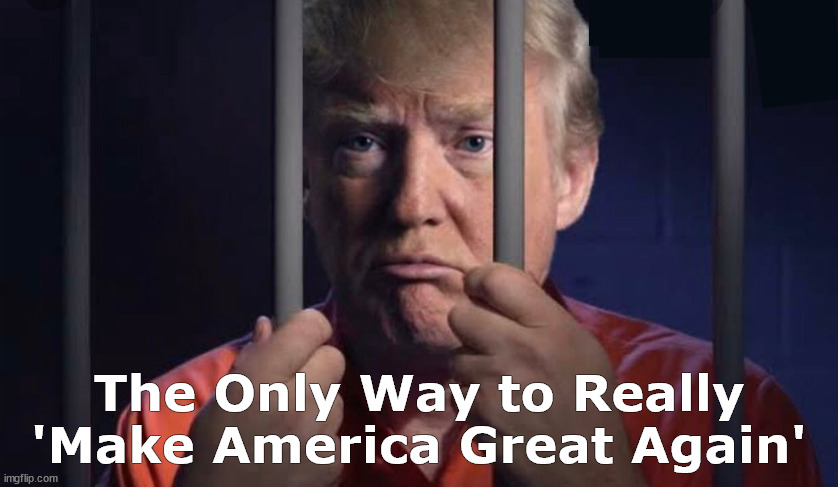 The Only Way to Really 'Make America Great Agan' | image tagged in donald trump,trump,maga,make america great again,prison,memes | made w/ Imgflip meme maker