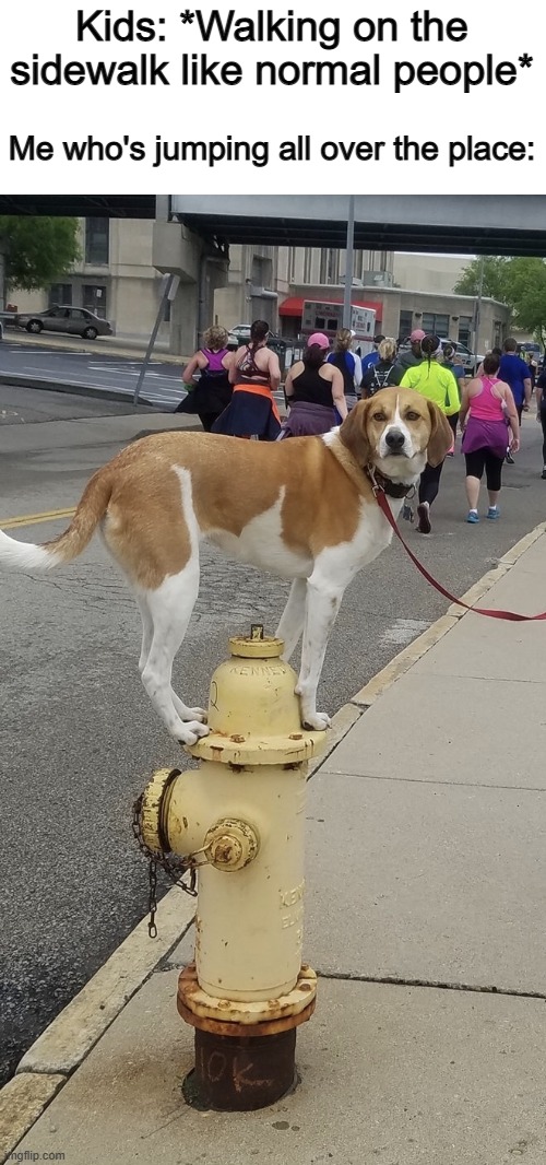 Lol XD | Kids: *Walking on the sidewalk like normal people*; Me who's jumping all over the place: | image tagged in dog on fire hydrant | made w/ Imgflip meme maker