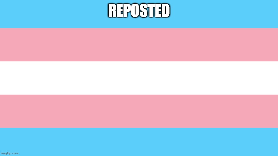 aaaaaaaaaaaaaaaaaaaaaaaaaaaaaaaaaaaaaaaaaa i did this | REPOSTED | image tagged in trans pride flag | made w/ Imgflip meme maker