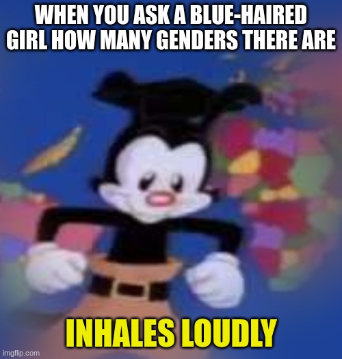 Image Title | WHEN YOU ASK A BLUE-HAIRED GIRL HOW MANY GENDERS THERE ARE; INHALES LOUDLY | image tagged in yakko | made w/ Imgflip meme maker