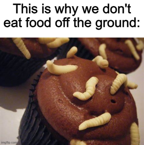 Parasites D: | This is why we don't eat food off the ground: | made w/ Imgflip meme maker