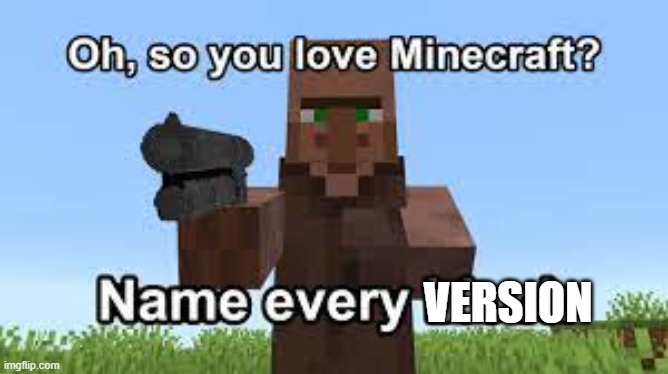 Oh so you like Minecraft? | VERSION | image tagged in oh so you like minecraft | made w/ Imgflip meme maker