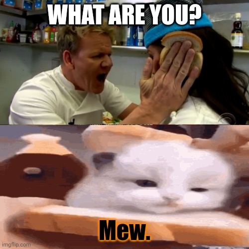 WHAT ARE YOU? Mew. | made w/ Imgflip meme maker