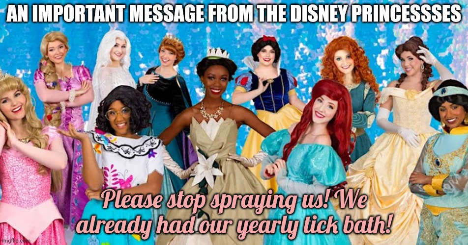 Disney Princesses | AN IMPORTANT MESSAGE FROM THE DISNEY PRINCESSSES; Please stop spraying us! We already had our yearly tick bath! | image tagged in disney,disney princesses,ewwww,spiders | made w/ Imgflip meme maker