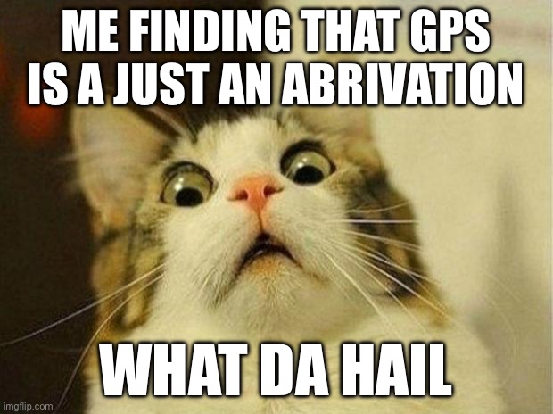 Scared Cat | ME FINDING THAT GPS IS A JUST AN ABRIVATION; WHAT DA HAIL | image tagged in memes,scared cat | made w/ Imgflip meme maker
