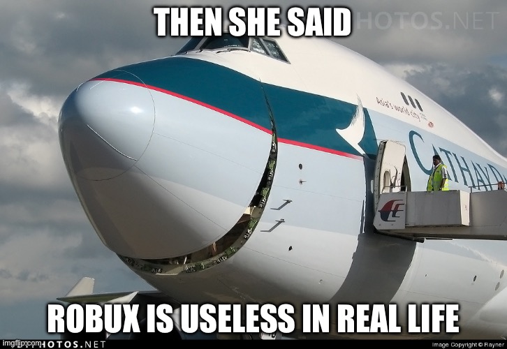 Boeing 747 smiling | THEN SHE SAID; ROBUX IS USELESS IN REAL LIFE | image tagged in boeing 747 smiling | made w/ Imgflip meme maker