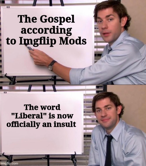 A 24 hour rip for it | The Gospel according to Imgflip Mods; The word "Liberal" is now officially an insult | image tagged in jim halpert explains,overly sensitive,truth hurts,liberal logic,leave me alone,stupid liberals | made w/ Imgflip meme maker