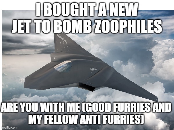 watch yo jet bro | I BOUGHT A NEW JET TO BOMB ZOOPHILES; ARE YOU WITH ME (GOOD FURRIES AND MY FELLOW ANTI FURRIES) | image tagged in memes,anti furry,why are you reading the tags,stop reading the tags,airplane | made w/ Imgflip meme maker