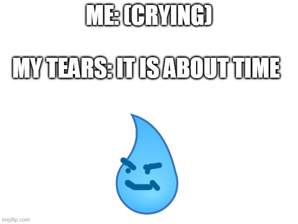 My tears | ME: (CRYING); MY TEARS: IT IS ABOUT TIME | image tagged in crying | made w/ Imgflip meme maker