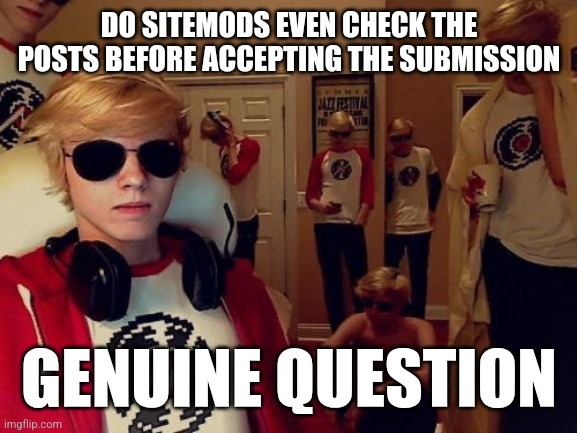 Because I've seen multiple posts going against them, and I think they'd be against that. | DO SITEMODS EVEN CHECK THE POSTS BEFORE ACCEPTING THE SUBMISSION; GENUINE QUESTION | image tagged in damn bro you got the whole squad laughing | made w/ Imgflip meme maker