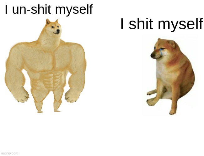 Buff Doge vs. Cheems | I un-shit myself; I shit myself | image tagged in memes,buff doge vs cheems | made w/ Imgflip meme maker