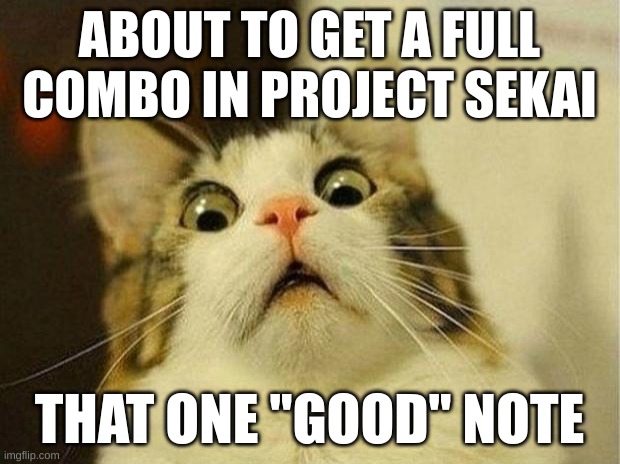 Scared Cat | ABOUT TO GET A FULL COMBO IN PROJECT SEKAI; THAT ONE "GOOD" NOTE | image tagged in memes,scared cat | made w/ Imgflip meme maker