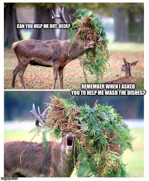 You get what you give. | CAN YOU HELP ME OUT, DEER? REMEMBER WHEN I ASKED YOU TO HELP ME WASH THE DISHES? | image tagged in wildlife,deer,helping,funny,relationships,memes | made w/ Imgflip meme maker