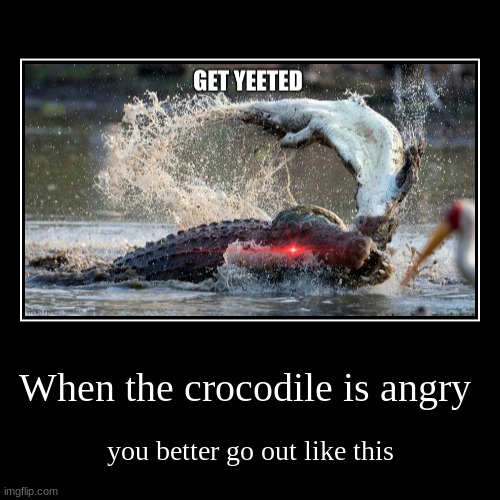 When the crocodile is angry | you better go out like this | image tagged in funny,demotivationals | made w/ Imgflip demotivational maker