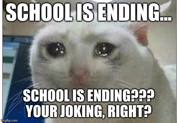 crying cat | SCHOOL IS ENDING... SCHOOL IS ENDING???
YOUR JOKING, RIGHT? | image tagged in crying cat | made w/ Imgflip meme maker
