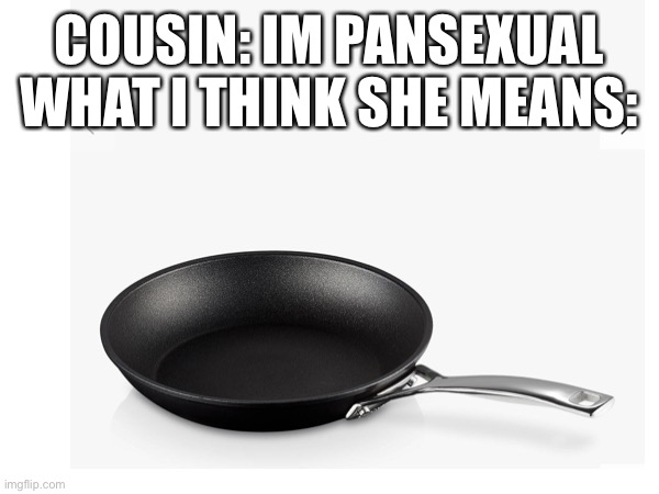 Can somebody tell me what pansexual means | COUSIN: IM PANSEXUAL
WHAT I THINK SHE MEANS: | image tagged in frying pan | made w/ Imgflip meme maker
