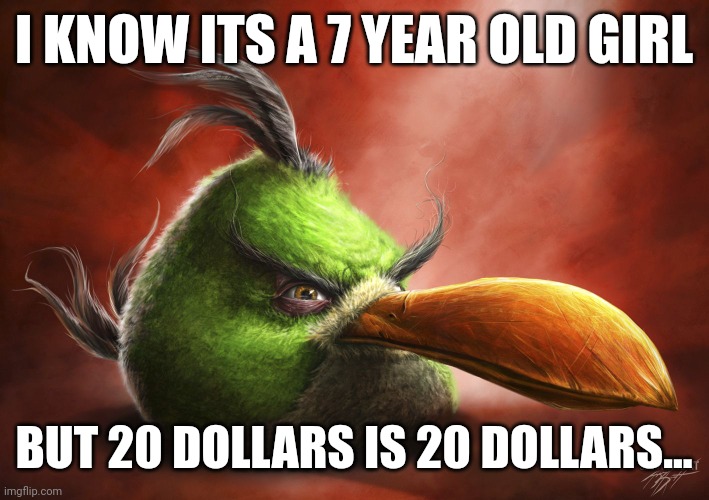 Realistic Angry Bird | I KNOW ITS A 7 YEAR OLD GIRL; BUT 20 DOLLARS IS 20 DOLLARS... | image tagged in realistic angry bird | made w/ Imgflip meme maker