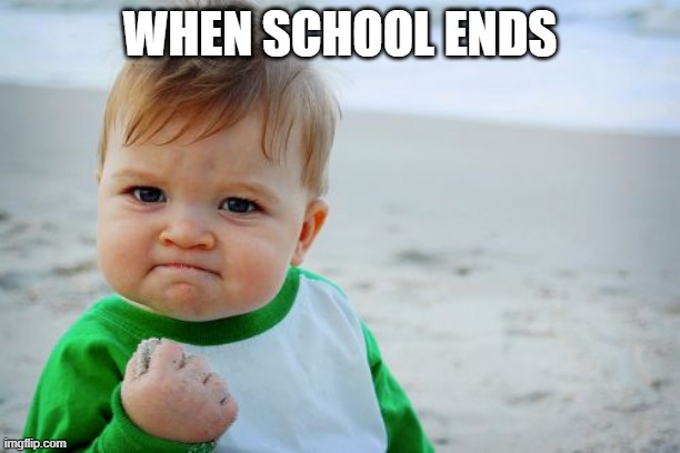 fr tho | WHEN SCHOOL ENDS | image tagged in memes,success kid original | made w/ Imgflip meme maker