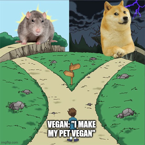 Two Paths | VEGAN: "I MAKE MY PET VEGAN" | image tagged in two paths,vegan,vegans,rat,dog,doge | made w/ Imgflip meme maker