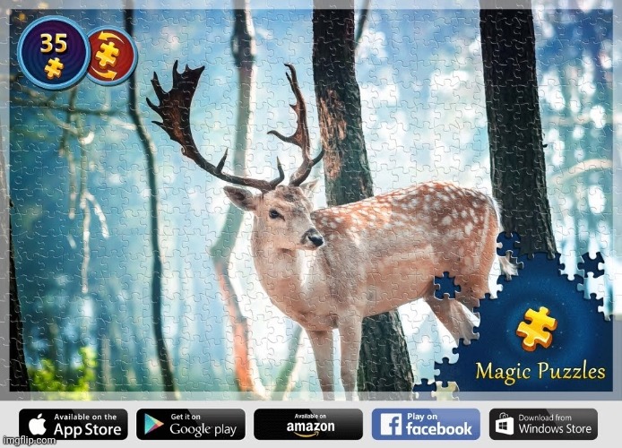 Magic Jigsaw Puzzles - ZiMAD