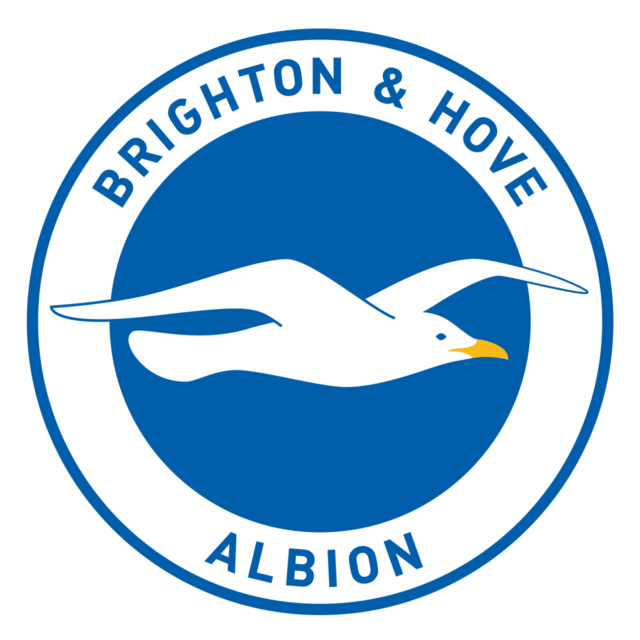 High Quality Brighton and Hove Albion Blank Meme Template