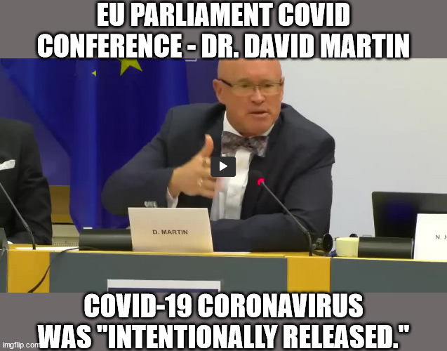 Dr. David Martin testifies before the EU Parliament... | EU PARLIAMENT COVID CONFERENCE - DR. DAVID MARTIN; COVID-19 CORONAVIRUS WAS "INTENTIONALLY RELEASED." | image tagged in covid,truth | made w/ Imgflip meme maker