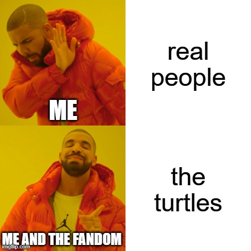 Drake Hotline Bling | real people; ME; the turtles; ME AND THE FANDOM | image tagged in memes,drake hotline bling | made w/ Imgflip meme maker