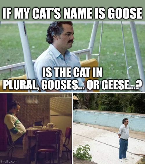 I MUST KNOW | IF MY CAT’S NAME IS GOOSE; IS THE CAT IN PLURAL, GOOSES… OR GEESE…? | image tagged in memes,sad pablo escobar | made w/ Imgflip meme maker