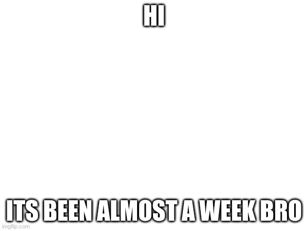 HI; ITS BEEN ALMOST A WEEK BRO | image tagged in o | made w/ Imgflip meme maker