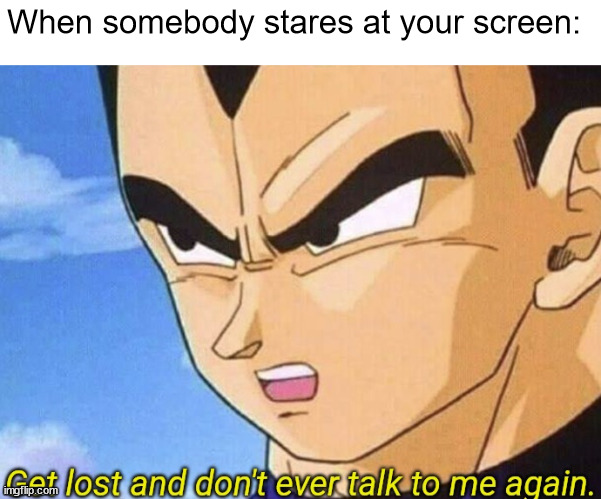 Get lost and don't ever talk to me again | When somebody stares at your screen: | image tagged in get lost and don't ever talk to me again | made w/ Imgflip meme maker
