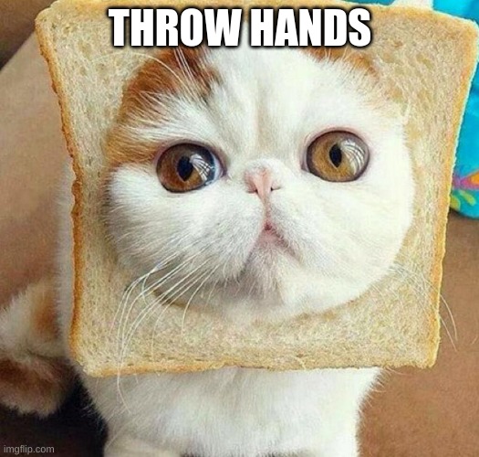 Bread Cat | THROW HANDS | image tagged in bread cat | made w/ Imgflip meme maker
