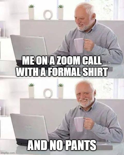 facts | ME ON A ZOOM CALL WITH A FORMAL SHIRT; AND NO PANTS | image tagged in memes,hide the pain harold | made w/ Imgflip meme maker
