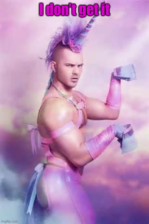 Gay Unicorn | I don’t get it | image tagged in gay unicorn | made w/ Imgflip meme maker