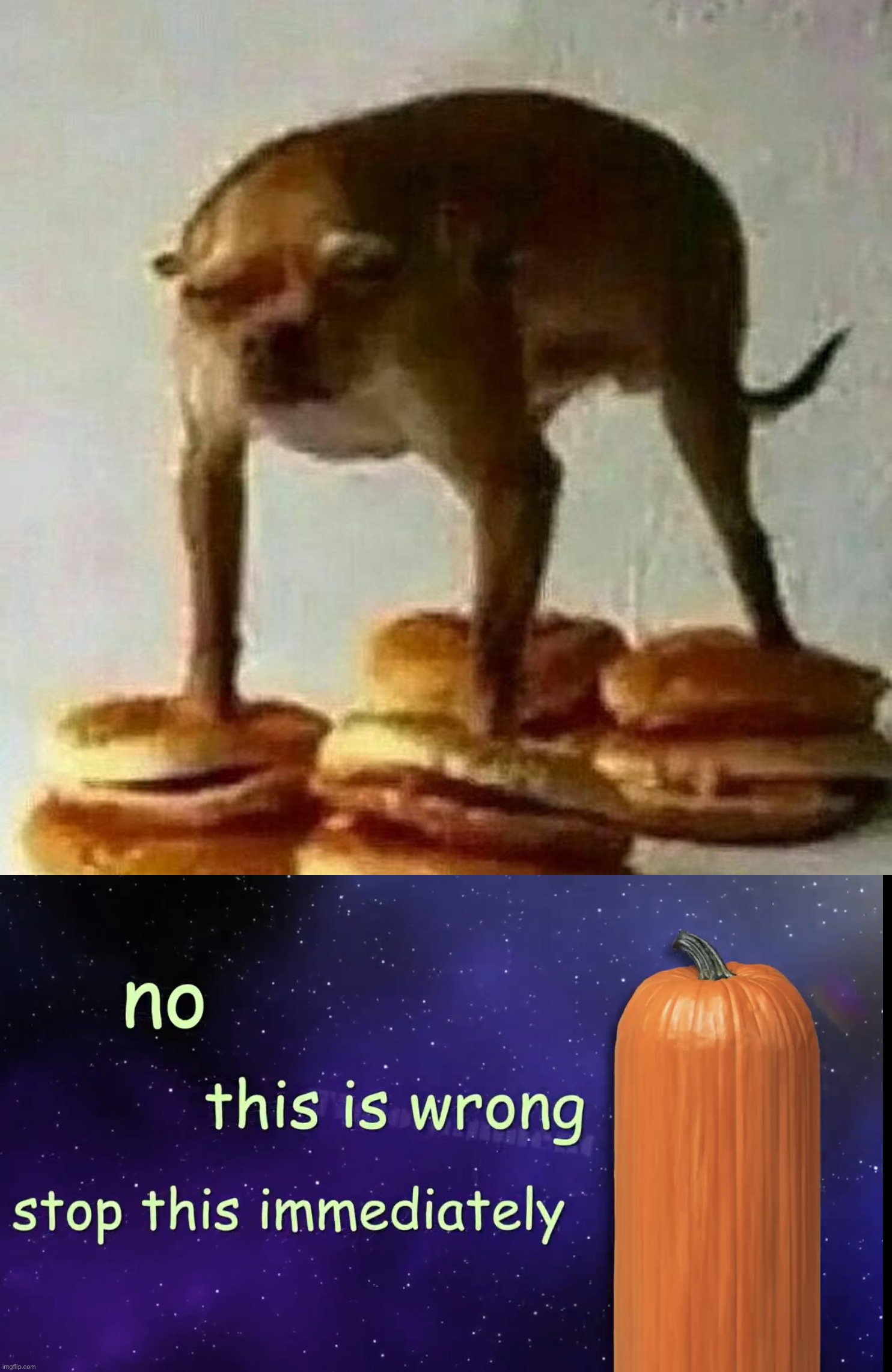 Hamburger dog | image tagged in pumpkin facts,memes,funny,cursed image | made w/ Imgflip meme maker