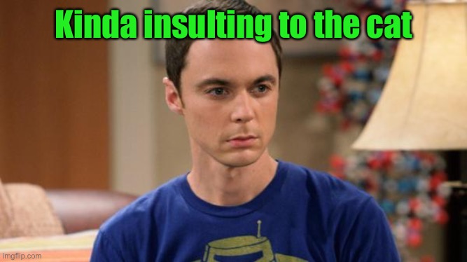 Sheldon Logic | Kinda insulting to the cat | image tagged in sheldon logic | made w/ Imgflip meme maker