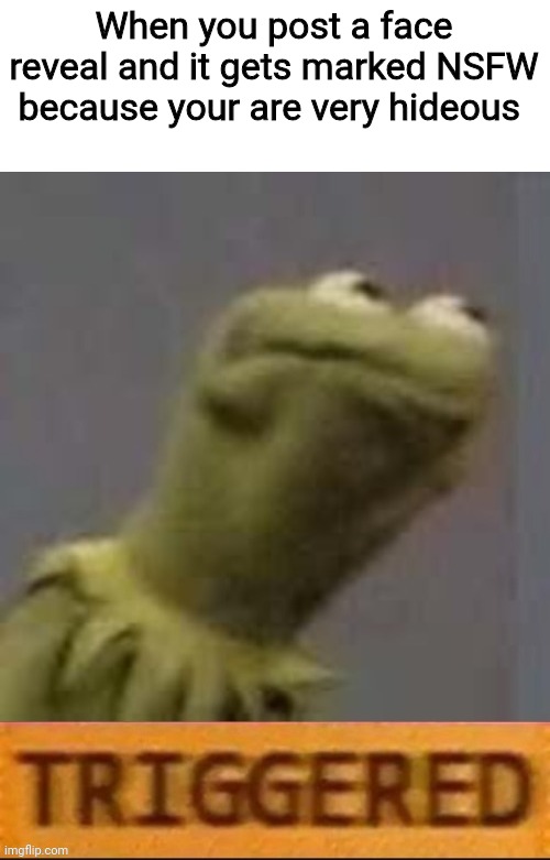 Kermit Triggered | When you post a face reveal and it gets marked NSFW because your are very hideous | image tagged in kermit triggered | made w/ Imgflip meme maker