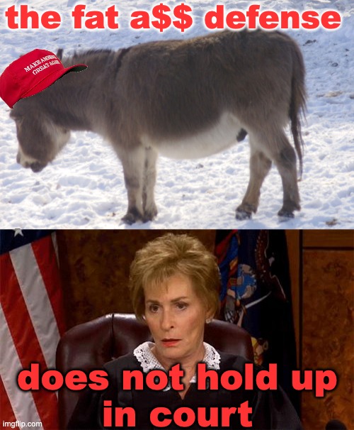 the fat a$$ defense does not hold up
in court | image tagged in judge judy unimpressed | made w/ Imgflip meme maker
