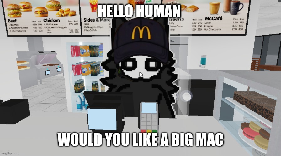 puro magdonal | HELLO HUMAN; WOULD YOU LIKE A BIG MAC | image tagged in puro magdonal | made w/ Imgflip meme maker