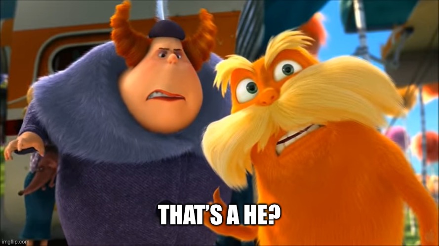 Lorax That's A Woman | THAT’S A HE? | image tagged in lorax that's a woman | made w/ Imgflip meme maker