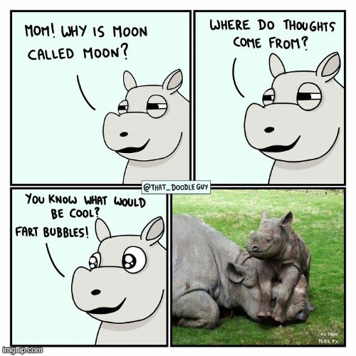 image tagged in rhino,mom,adorable | made w/ Imgflip meme maker