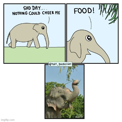 image tagged in elephant,food,happy | made w/ Imgflip meme maker