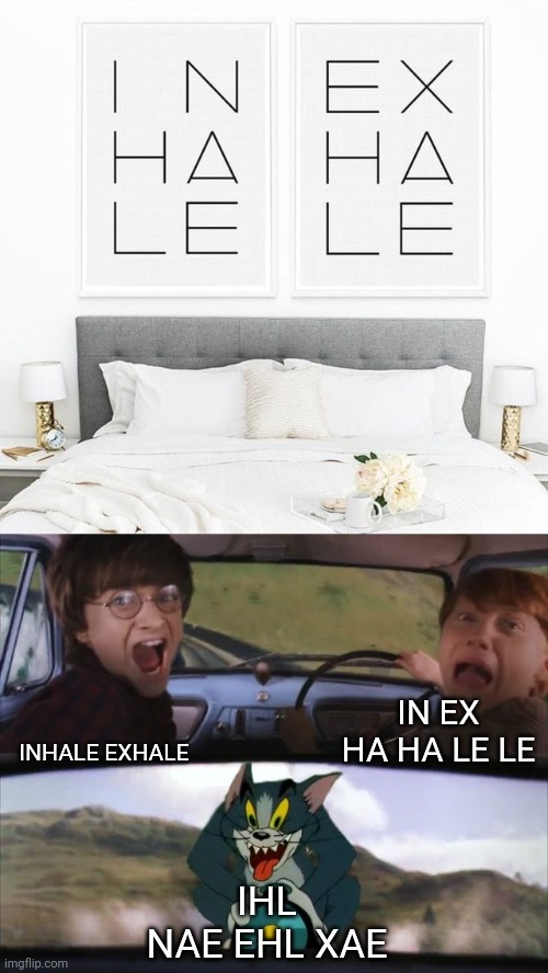 Inhale exhale | IN EX HA HA LE LE; INHALE EXHALE; IHL NAE EHL XAE | image tagged in tom chasing harry and ron weasly,inhale,exhale,you had one job,crappy design,memes | made w/ Imgflip meme maker