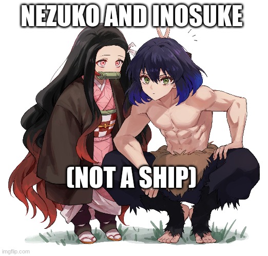 this is not a ship just so u know ok | NEZUKO AND INOSUKE; (NOT A SHIP) | image tagged in demon slayer,nezuko,inosuke,smol nezuko | made w/ Imgflip meme maker